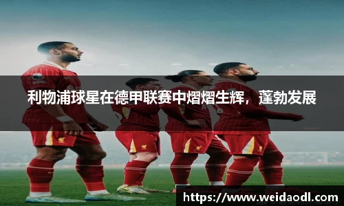 必一运动官网