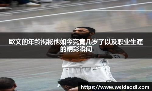 bsports官网 必一运动